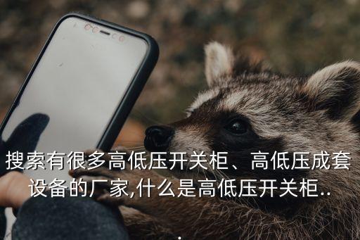 搜索有很多高低壓開(kāi)關(guān)柜、高低壓成套設(shè)備的廠家,什么是高低壓開(kāi)關(guān)柜...