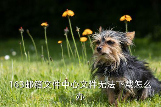 163郵箱泄密數(shù)據(jù)庫下載,網(wǎng)易郵箱數(shù)據(jù)庫