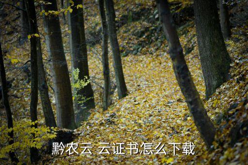 黔農(nóng)云 云證書怎么下載