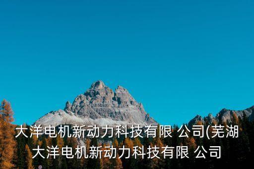 大洋電機(jī)新動(dòng)力科技有限 公司(蕪湖大洋電機(jī)新動(dòng)力科技有限 公司