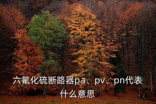 六氟化硫斷路器pa、pv、pn代表什么意思