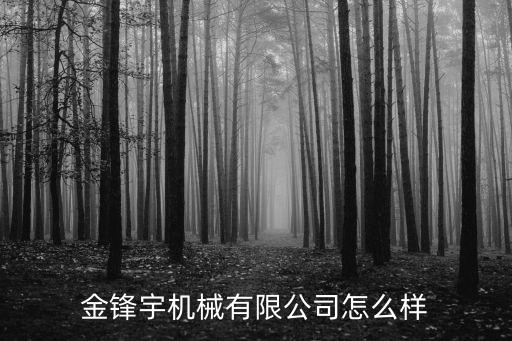 金鋒宇機械有限公司怎么樣