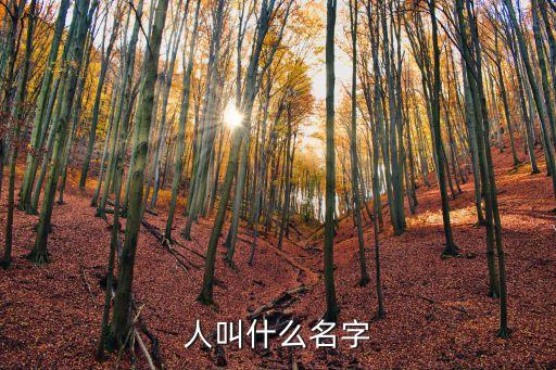 小黃人快遞機(jī)器人,申通快遞送貨速度如何?