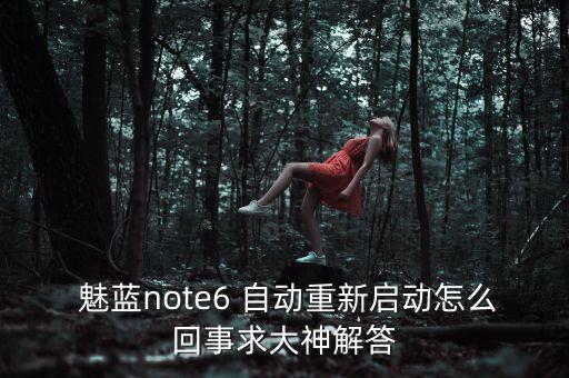  魅藍(lán)note6 自動(dòng)重新啟動(dòng)怎么回事求大神解答