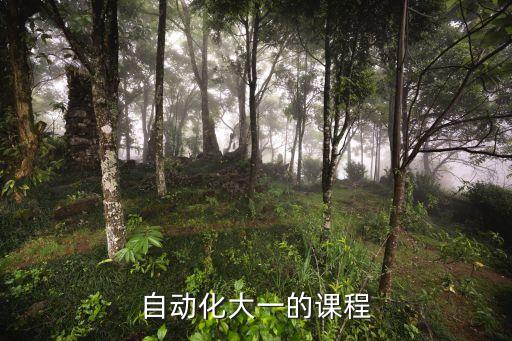 自動化大一的課程