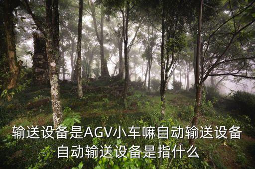 安徽輸送自動(dòng)化設(shè)備,全自動(dòng)飼料輸送設(shè)備
