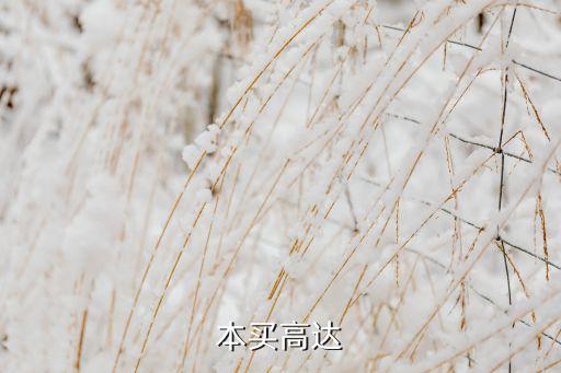 本買高達(dá)