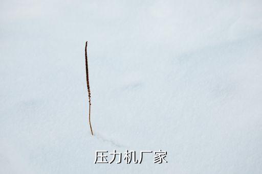 蕪湖自動化壓力機設(shè)備,新聞與自動化公司