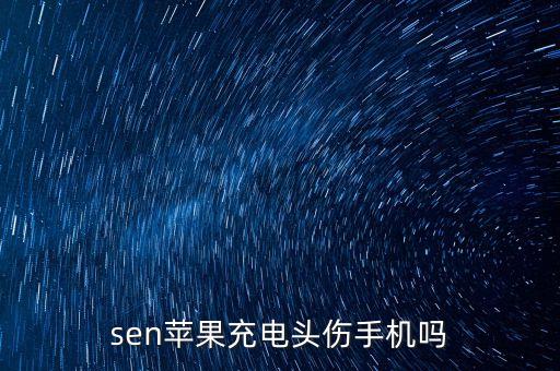 plsen,什么牌子的充電寶好?