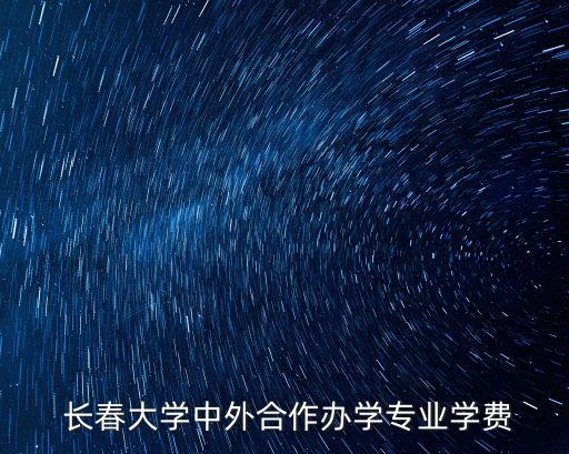  長春大學(xué)中外合作辦學(xué)專業(yè)學(xué)費(fèi)