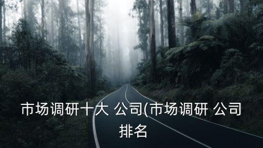市場調(diào)研十大 公司(市場調(diào)研 公司 排名
