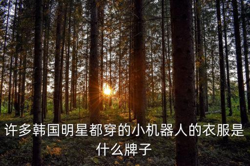 許多韓國明星都穿的小機器人的衣服是什么牌子