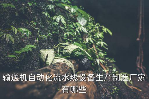 出口自動(dòng)化設(shè)備廠家有哪些,自動(dòng)化設(shè)備制造商