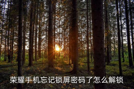 榮耀手機(jī)忘記鎖屏密碼了怎么解鎖