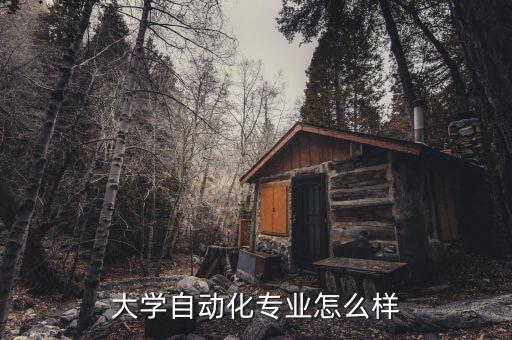 大學(xué)自動(dòng)化專業(yè)怎么樣