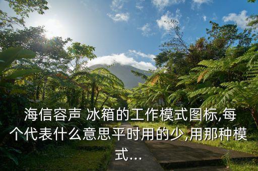 海信冰箱2017年數(shù)據(jù)