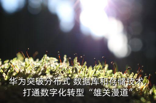 華為突破分布式 數(shù)據(jù)庫和存儲技術(shù),打通數(shù)字化轉(zhuǎn)型“雄關(guān)漫道”