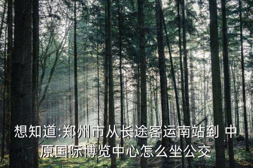 想知道:鄭州市從長(zhǎng)途客運(yùn)南站到 中原國(guó)際博覽中心怎么坐公交