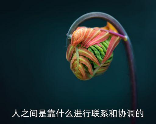 聯(lián)機器人,六軸平行聯(lián)機器人
