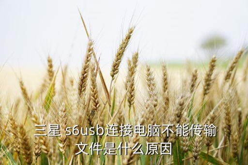 三星s6 數(shù)據(jù)線