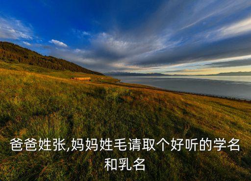 張大毛