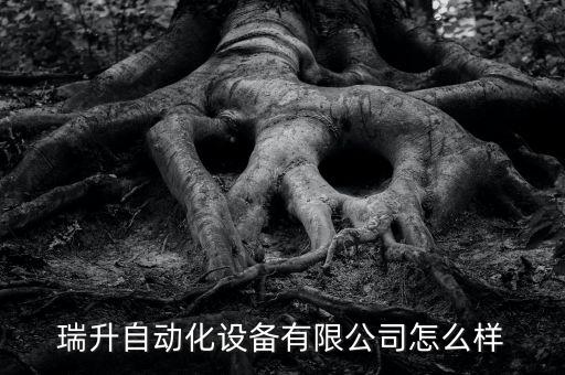 瑞升自動(dòng)化設(shè)備有限公司怎么樣
