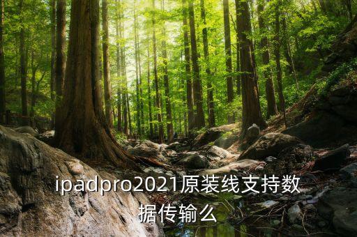 ipadpro2021原裝線支持?jǐn)?shù)據(jù)傳輸么