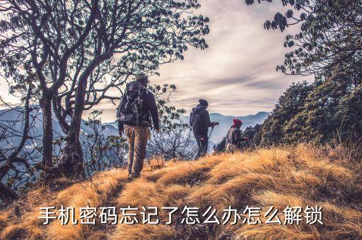 密碼解密,手機(jī)密碼忘記了怎么辦?可以用指紋或面部解鎖