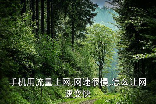 手機(jī)用流量上網(wǎng),網(wǎng)速很慢,怎么讓網(wǎng)速變快