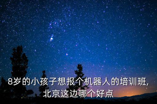 兒童機(jī)器人教育哪家好,選擇機(jī)器人教育機(jī)構(gòu)的方法