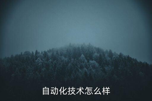 電氣自動(dòng)化控制系統(tǒng)哪里好,工業(yè)電氣自動(dòng)化控制系統(tǒng)