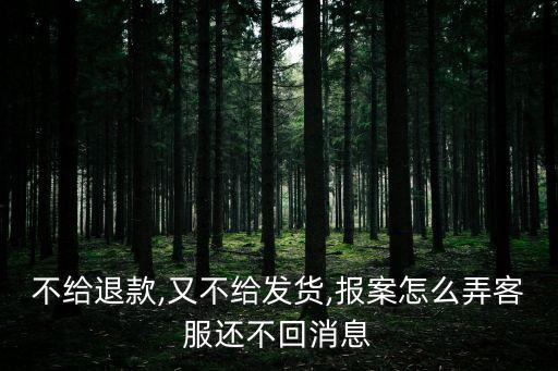 不給退款,又不給發(fā)貨,報(bào)案怎么弄客服還不回消息