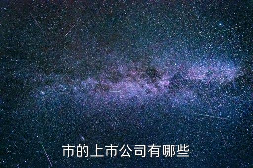 市的上市公司有哪些