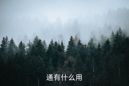 華為p9天際通數(shù)據(jù)服務(wù),華為的Skylink數(shù)據(jù)服務(wù)被禁