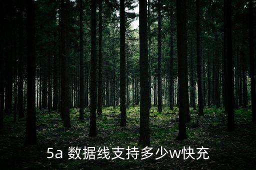 數(shù)據(jù)線5A是哪里的電流,5a電流數(shù)據(jù)線適配充電頭