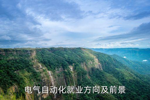 電氣自動化和會計?？?專業(yè)電氣自動化技術(shù)
