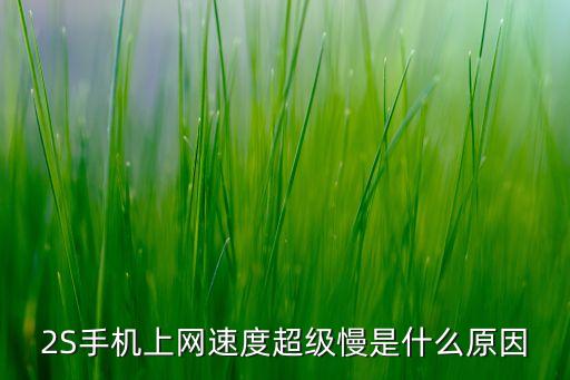2S手機上網(wǎng)速度超級慢是什么原因