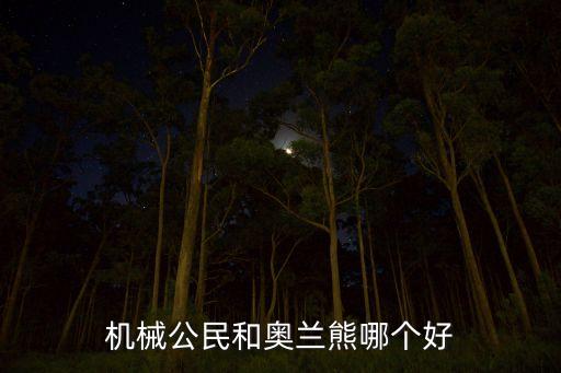 機械公民和奧蘭熊哪個好