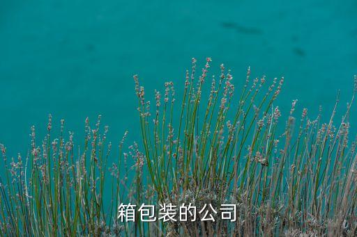 箱包裝的公司