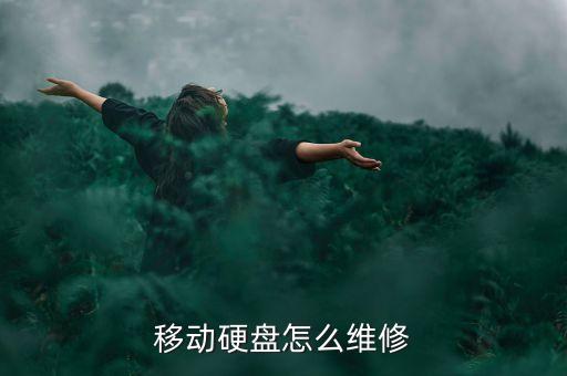 送希捷數(shù)據(jù)恢復(fù),希捷數(shù)據(jù)恢復(fù)中心