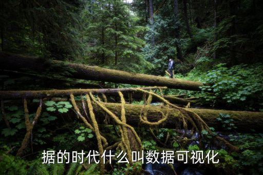 大數(shù)據(jù)可視化分析主題,數(shù)據(jù)可視化分析案例