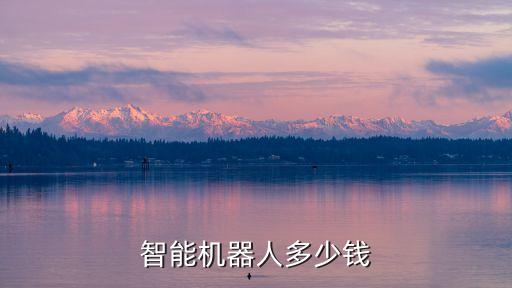 智能機(jī)器人多少錢