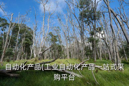 漳州自動(dòng)化包裝生產(chǎn)線設(shè)備,包裝自動(dòng)化裝配線設(shè)備制造商