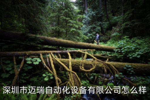 深圳市邁瑞自動(dòng)化設(shè)備有限公司怎么樣