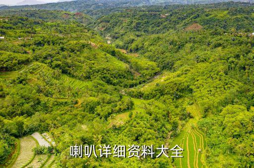 外磁喇叭自動(dòng)化設(shè)備,揚(yáng)聲器自動(dòng)化設(shè)備視頻