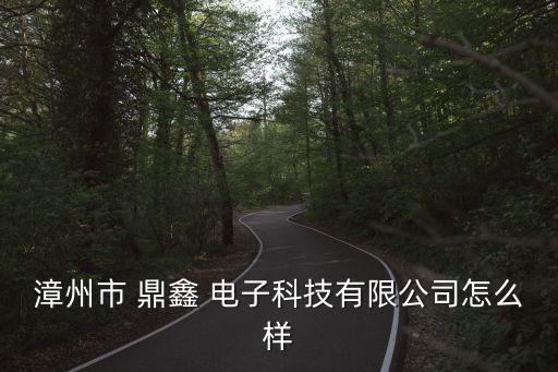 漳州市 鼎鑫 電子科技有限公司怎么樣