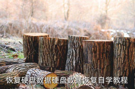 自己硬盤開盤恢復數(shù)據(jù),硬盤開啟恢復數(shù)據(jù)價格