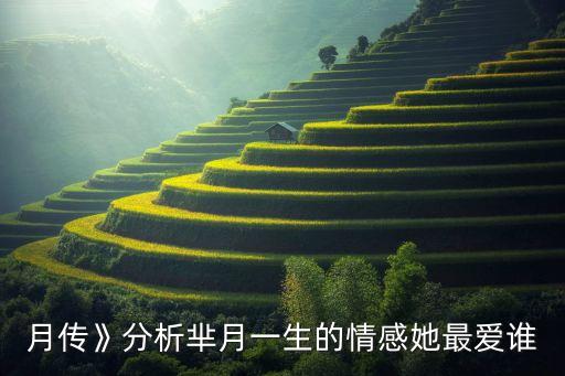 月傳》分析羋月一生的情感她最愛誰