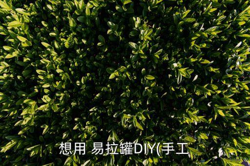 想用 易拉罐D(zhuǎn)IY(手工