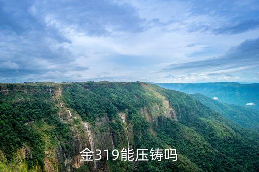 金319能壓鑄嗎